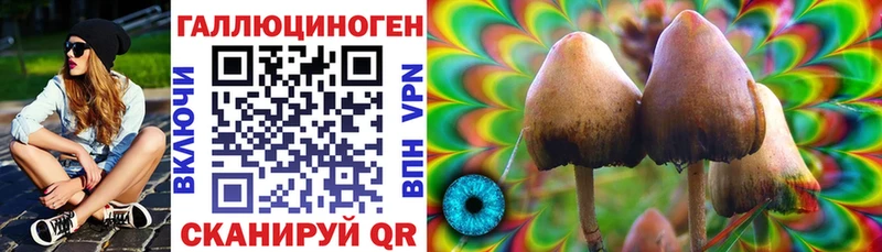 кракен сайт сколько стоит Невьянск Галлюциногенные грибы GOLDEN TEACHER